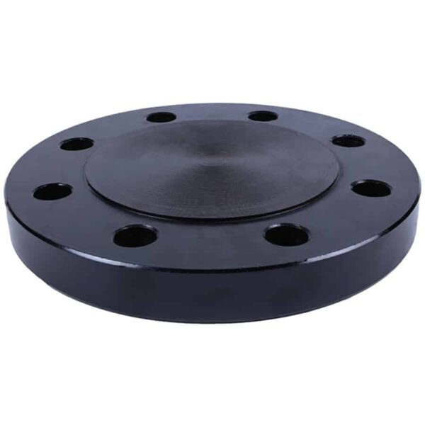 Forged Flanges - Image 2